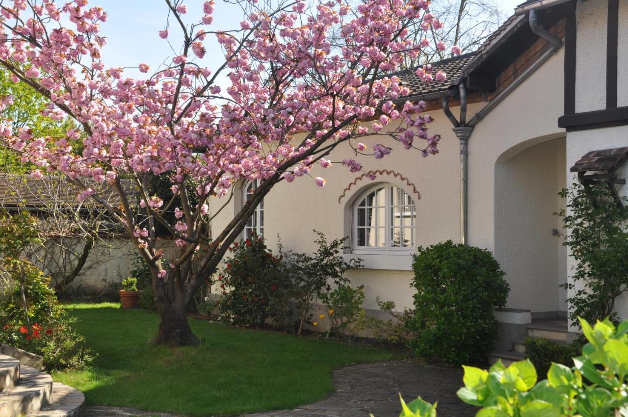 Maison D'Hotes Paris Riverside Saint-Maur-des-Fossés エクステリア 写真